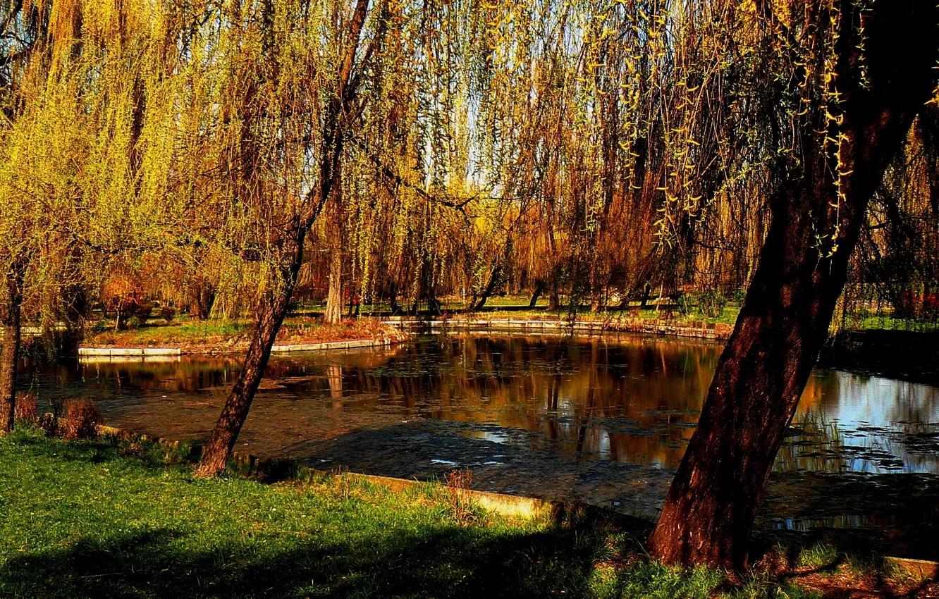 Photo wallpaper autumn, trees, nature, pond, Park, Nature, trees, park