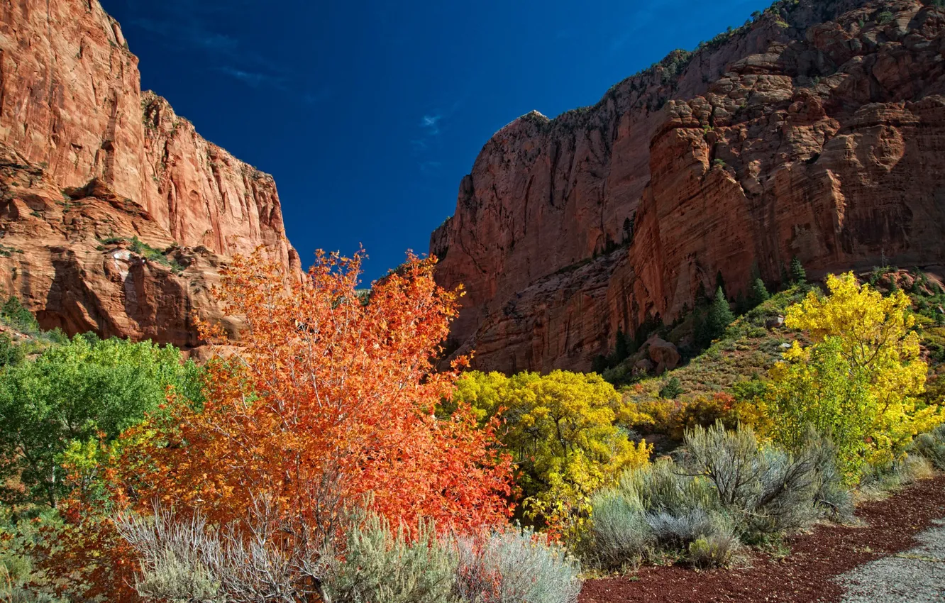 Photo wallpaper autumn, the sky, trees, mountains, rocks