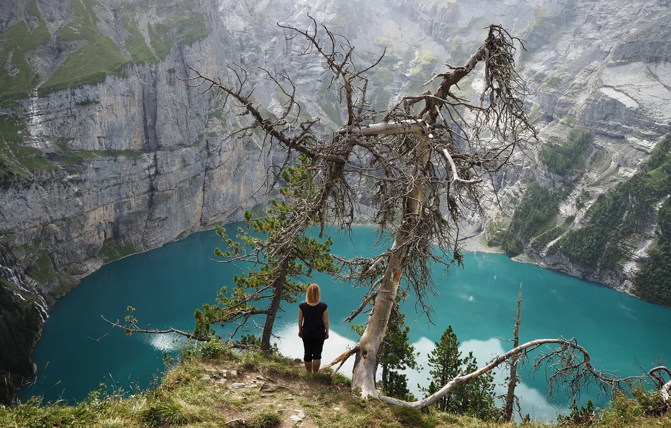 Photo wallpaper tree, rocks, Switzerland, pond, Lake Oeschinensee