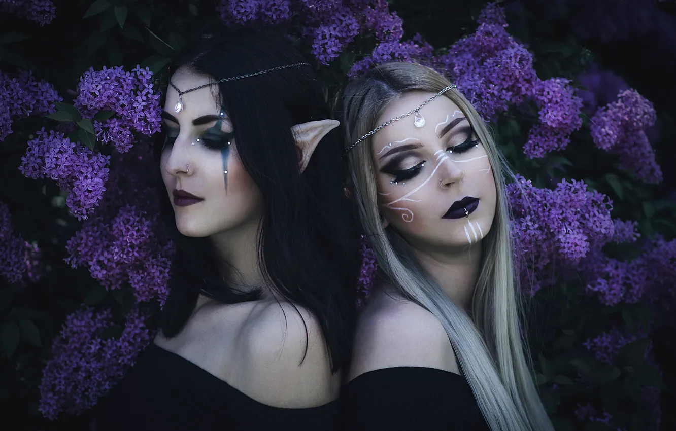 Photo wallpaper girl, decoration, flowers, style, the dark background, makeup, fantasy, pair