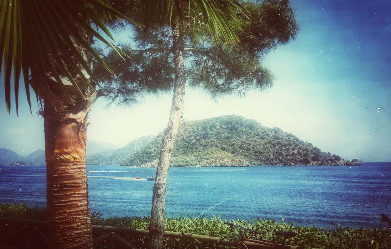 Photo wallpaper city, summer, beach, coast, island, palm, Marmaris
