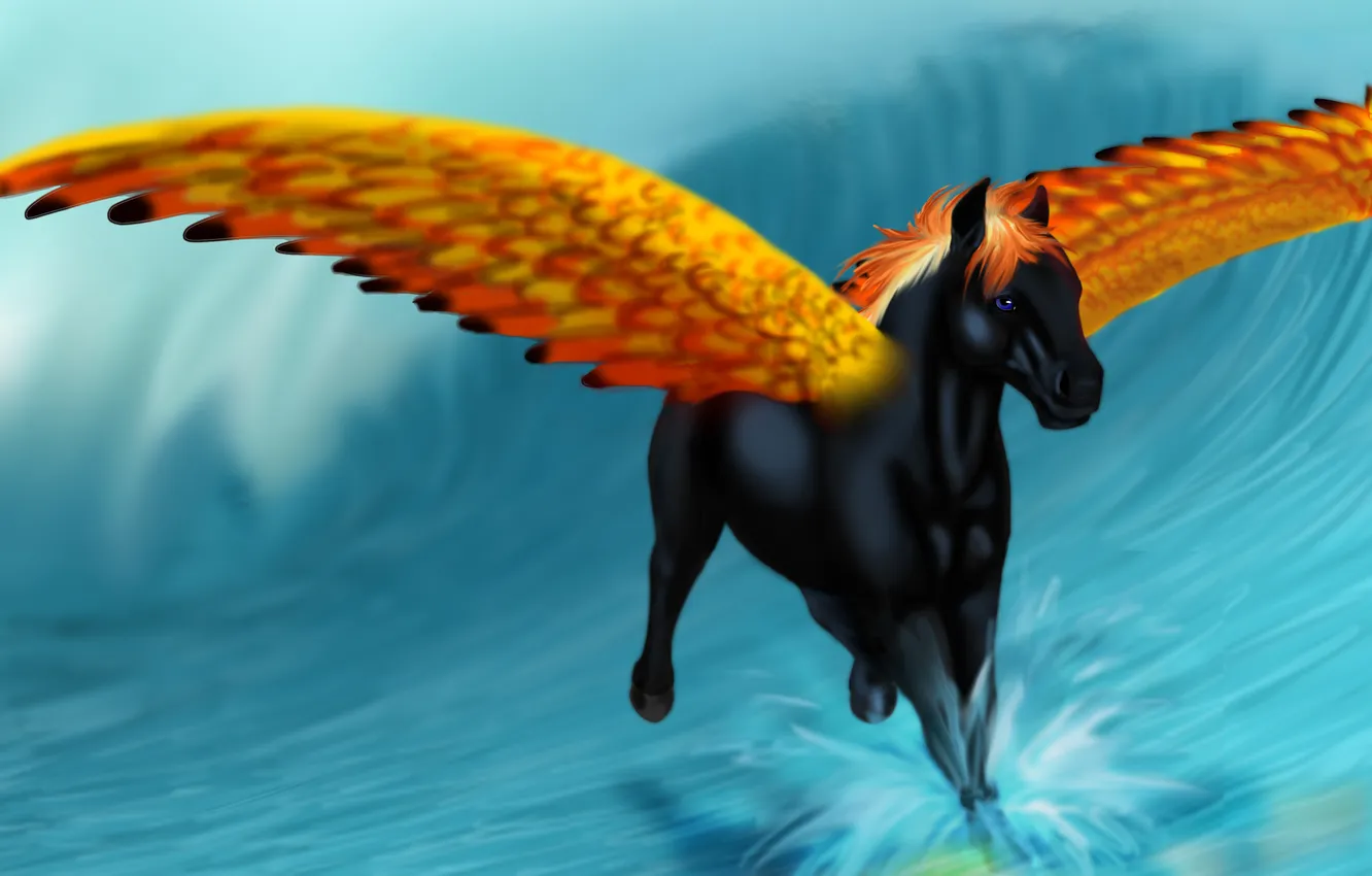 Photo wallpaper look, water, squirt, black, horse, wings, art, mane