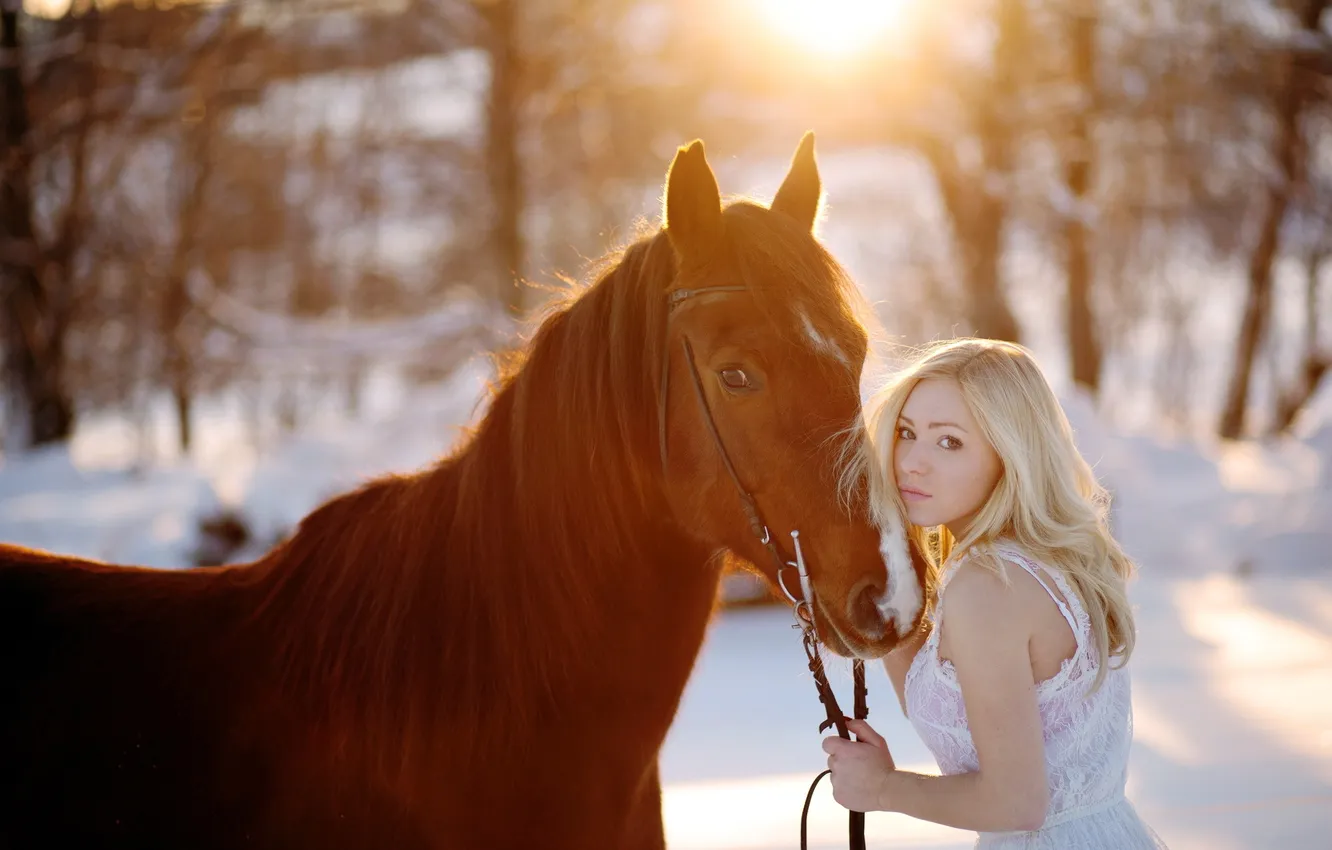 Photo wallpaper girl, background, horse
