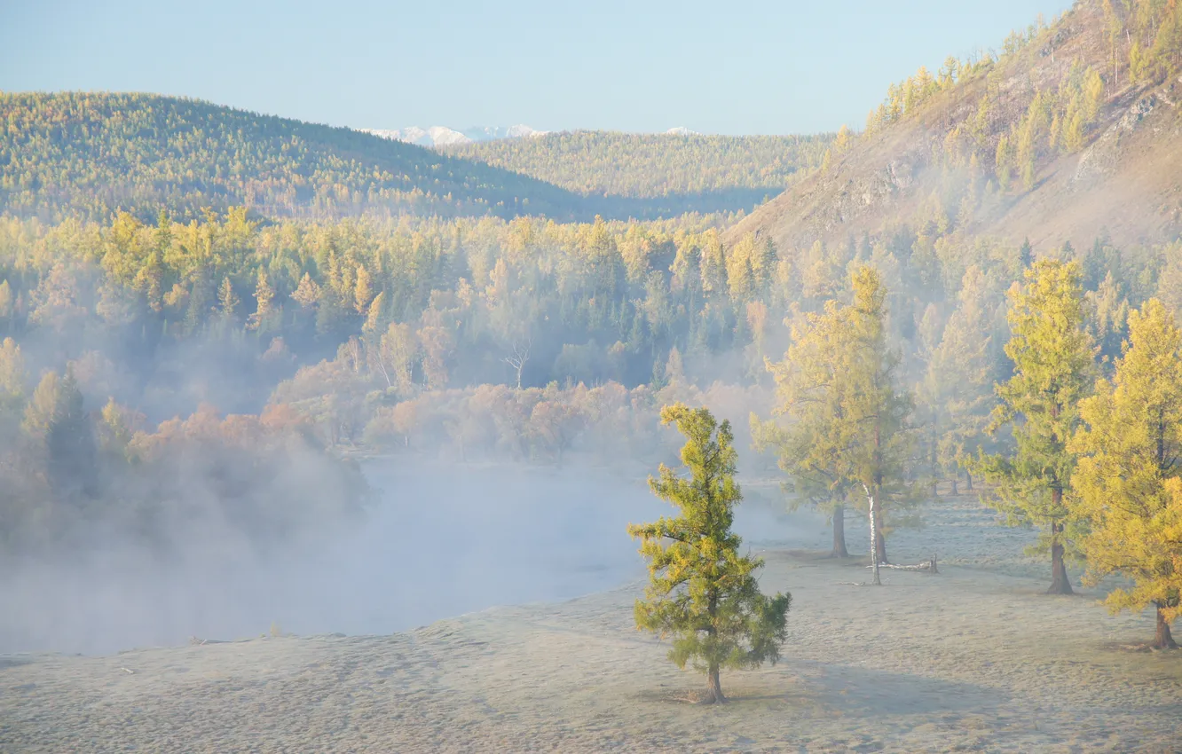 Photo wallpaper landscape, fog, tree