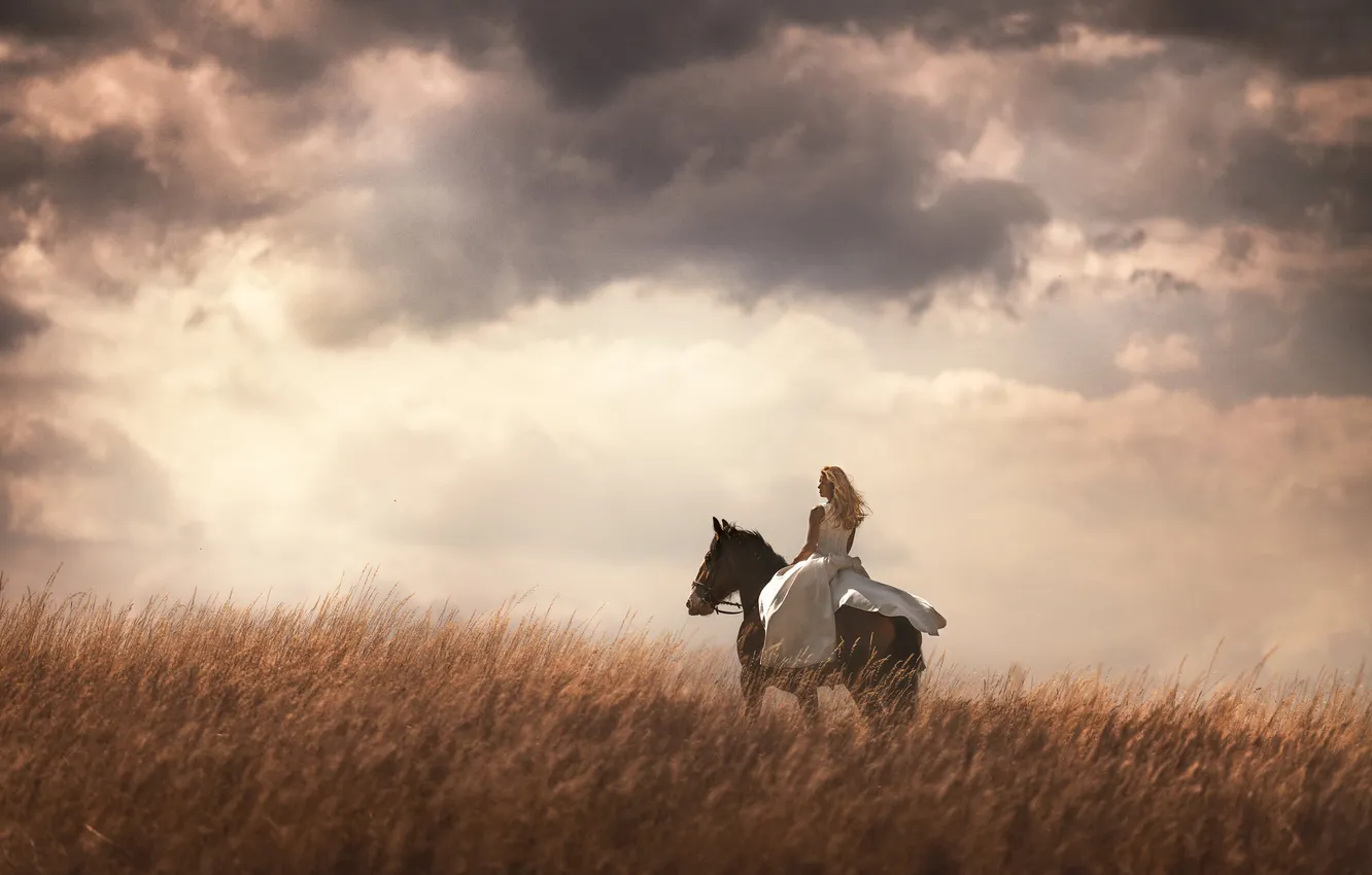 Photo wallpaper horse, top, nature, girl, field, on horseback, woman, horse