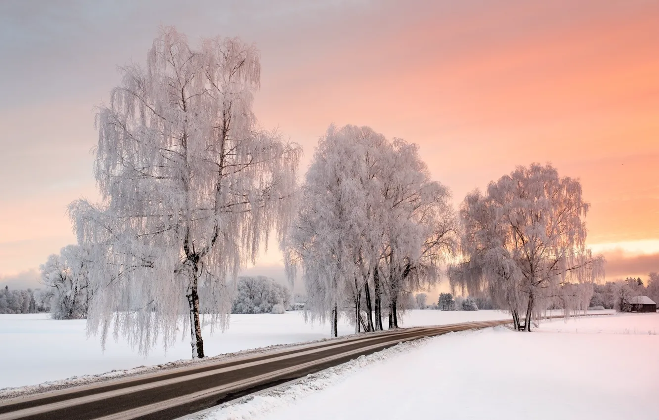 Photo wallpaper winter, frost, road, trees, frost