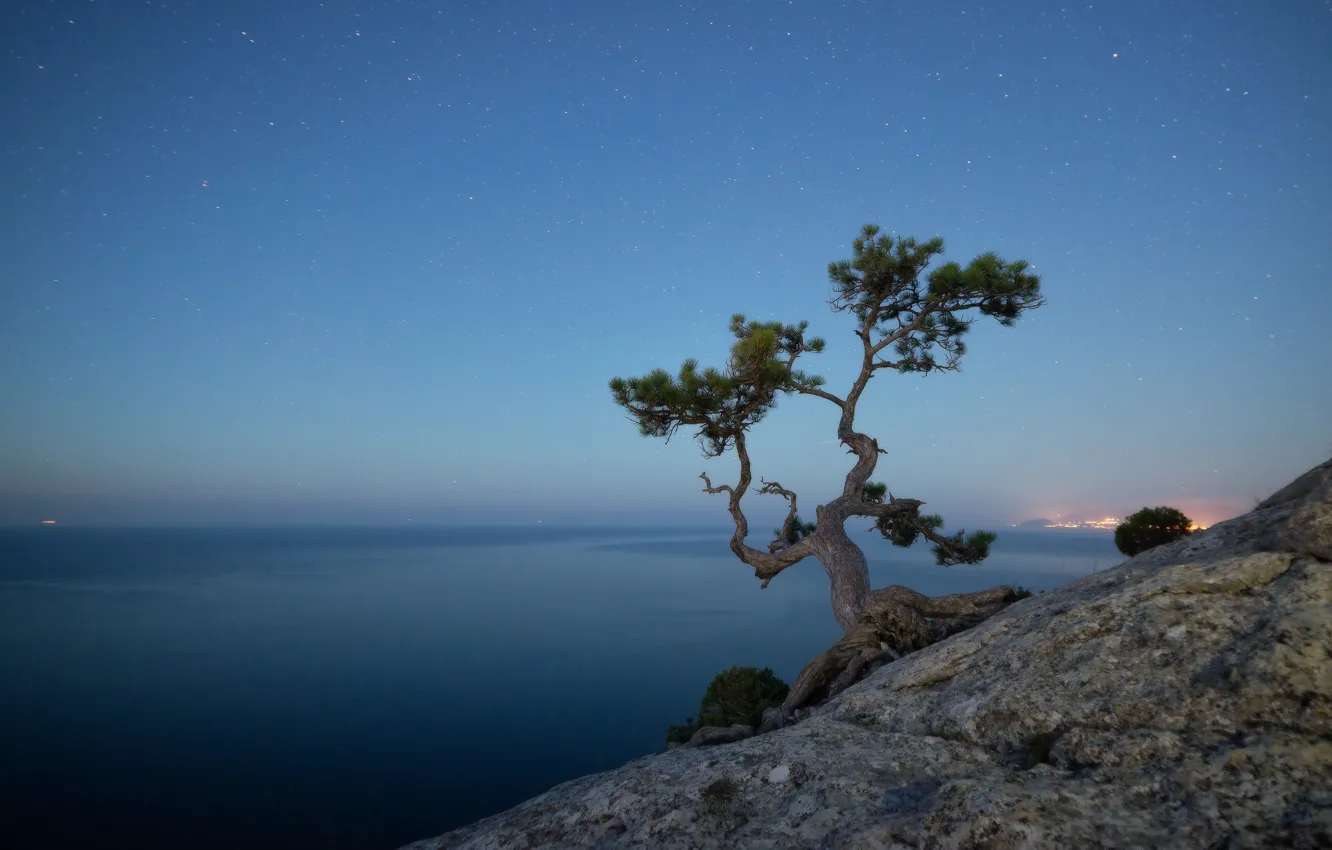 Photo wallpaper sea, the sky, landscape, nature, rock, tree, stars, the evening