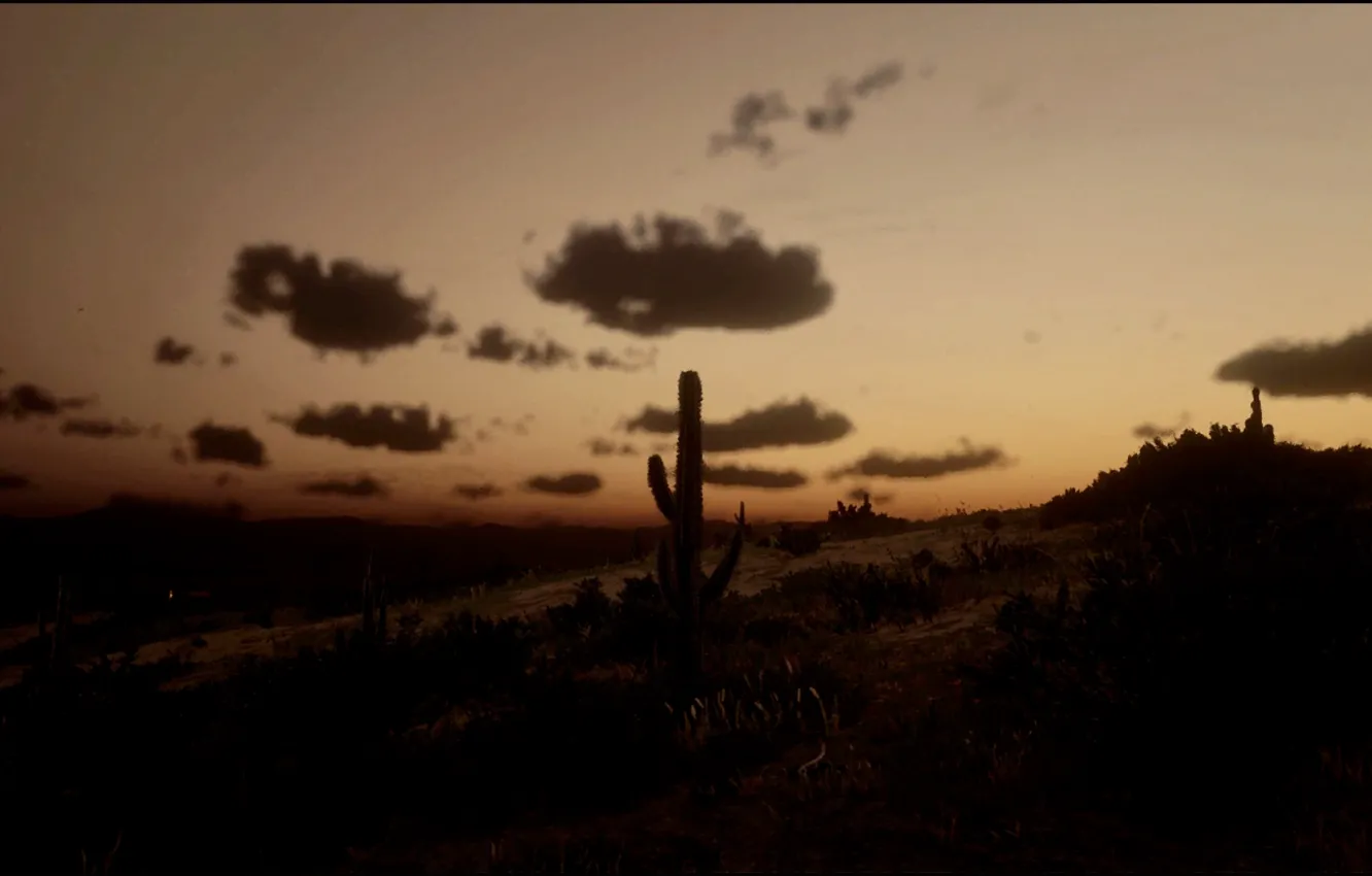 Photo wallpaper HDR, Nature, Horizon, Landscape, Game, Desert, Cactus, Xbox One S