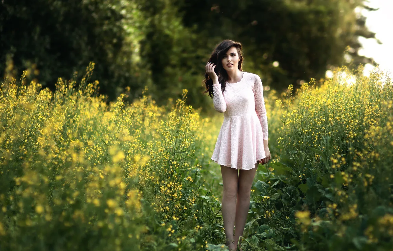 Photo wallpaper dress, legs, the beauty, Diana