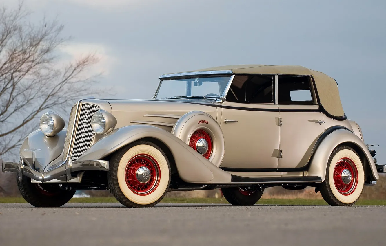 Photo wallpaper trees, retro, lights, grille, highway