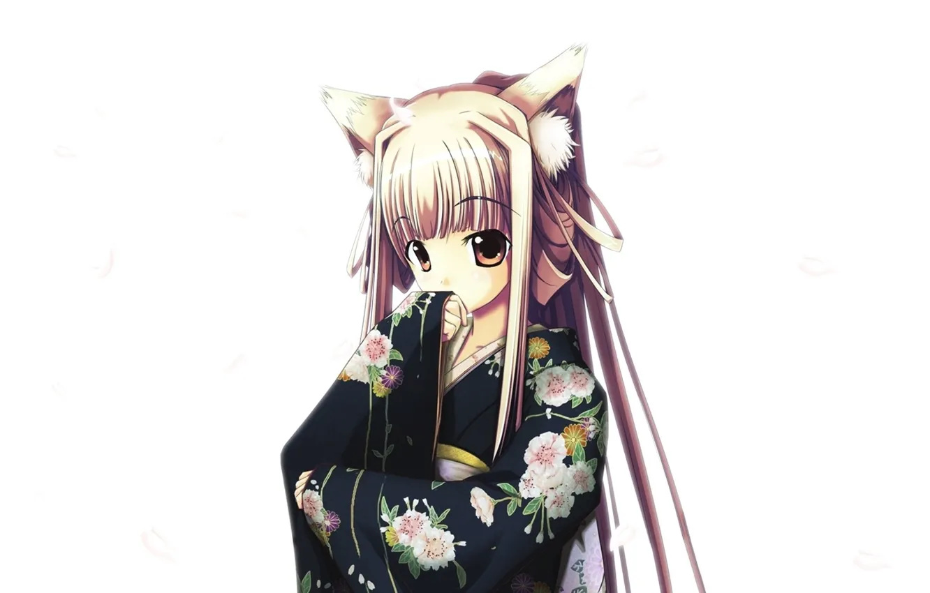 Photo wallpaper girl, white background, kimono, bangs, big eyes, cherry blossoms, fox girl, long white hair