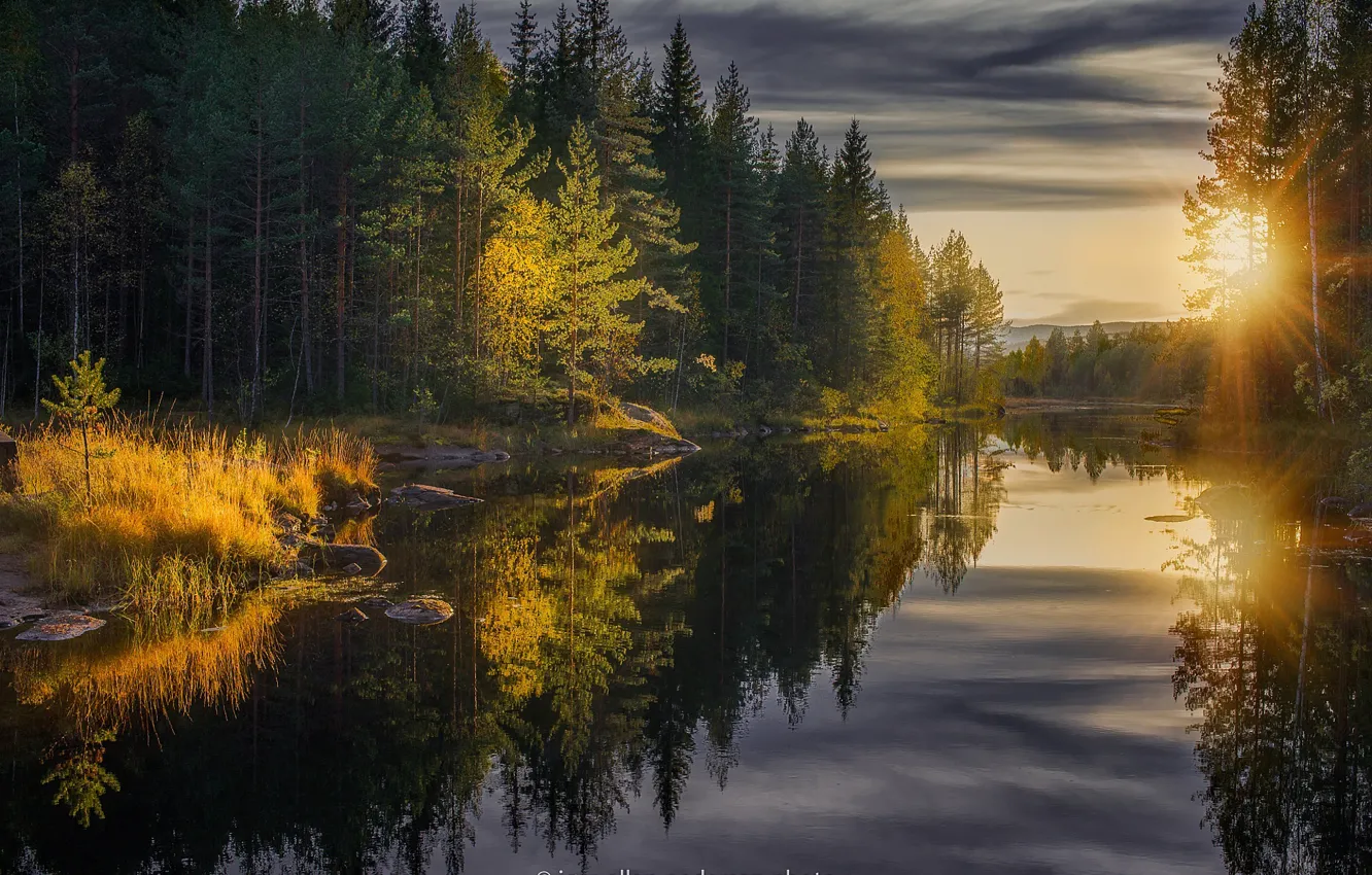 Photo wallpaper autumn, forest, trees, reflection, river, the rays of the sun, Jorn Allan Pedersen