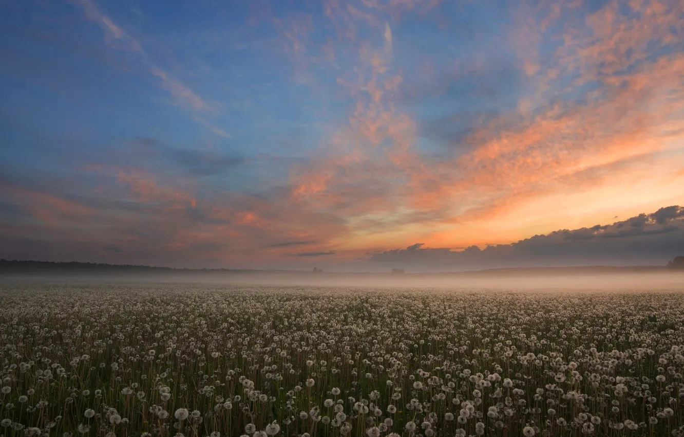Photo wallpaper the sky, clouds, landscape, nature, horizon
