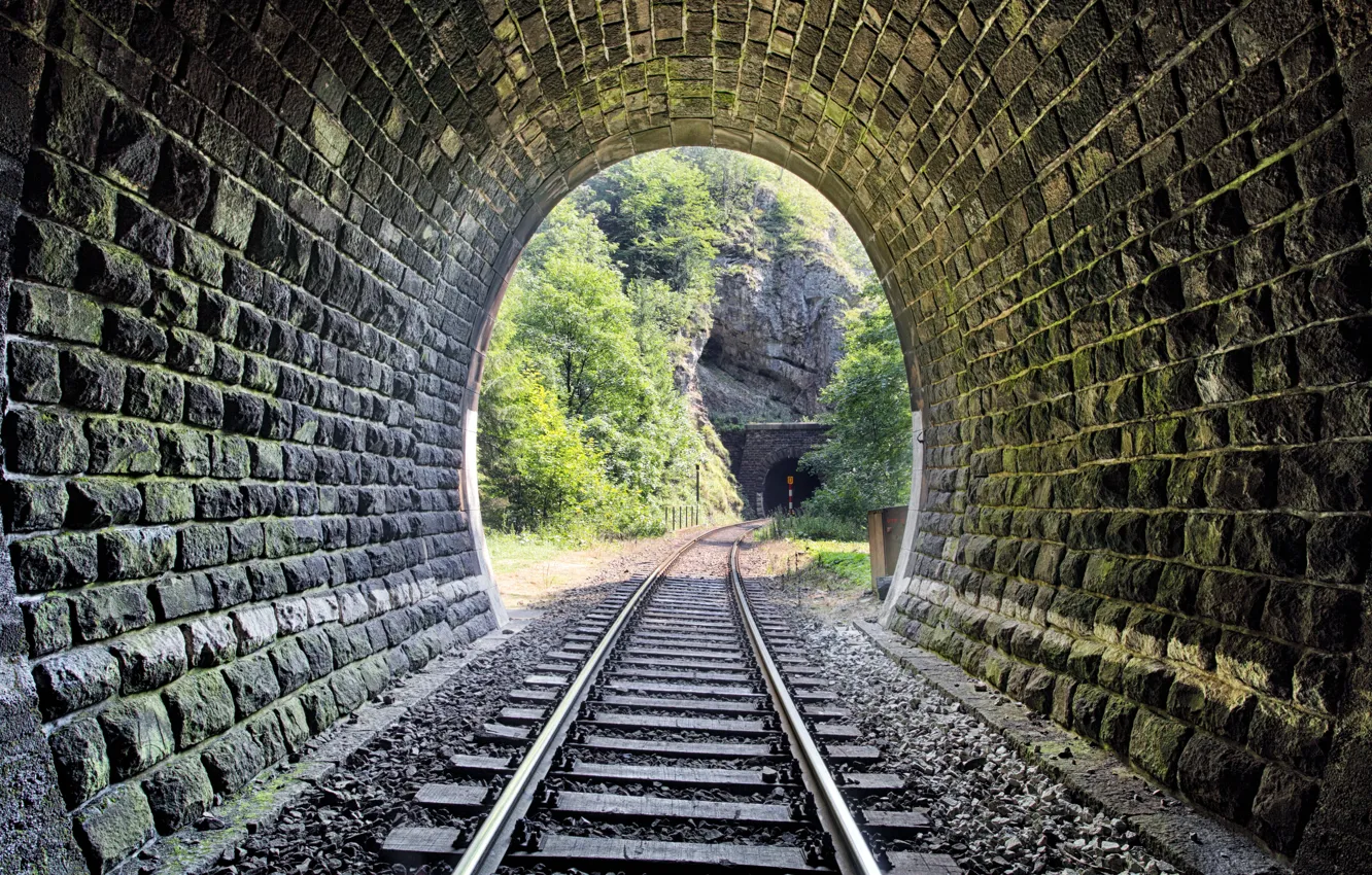 Photo wallpaper metal, wood, tunnel, stones, railway, Trees