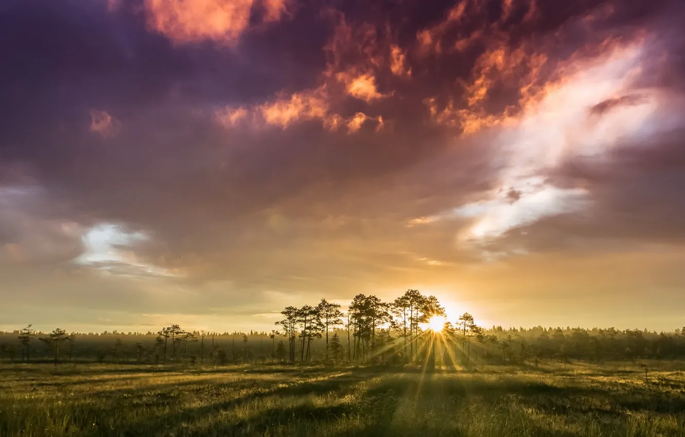 Photo wallpaper sunrise, Finland, Burning clouds, craneswamp