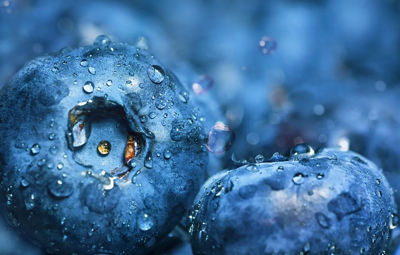 Photo wallpaper water, drops, blueberries, by dashakern