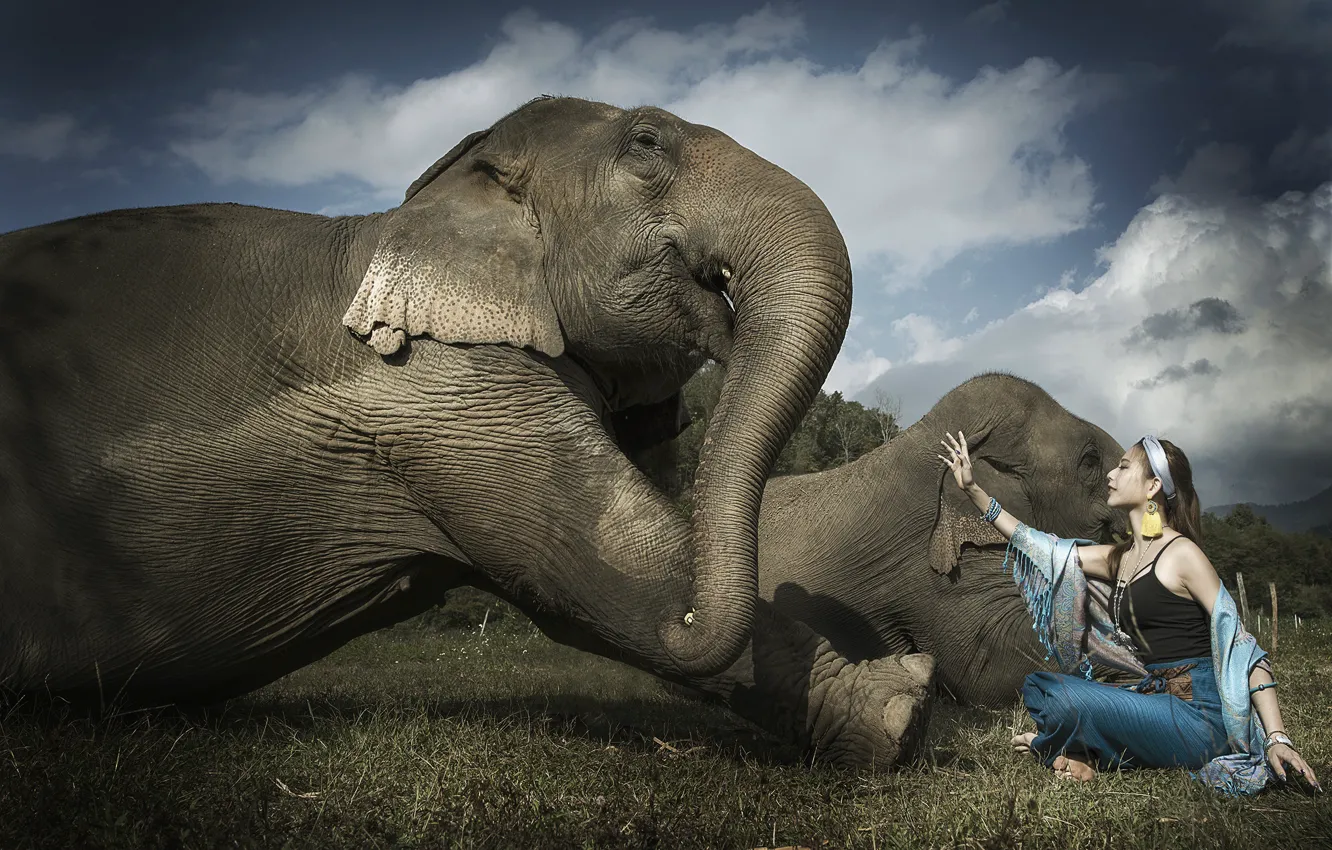 Photo wallpaper girl, elephant, Asian