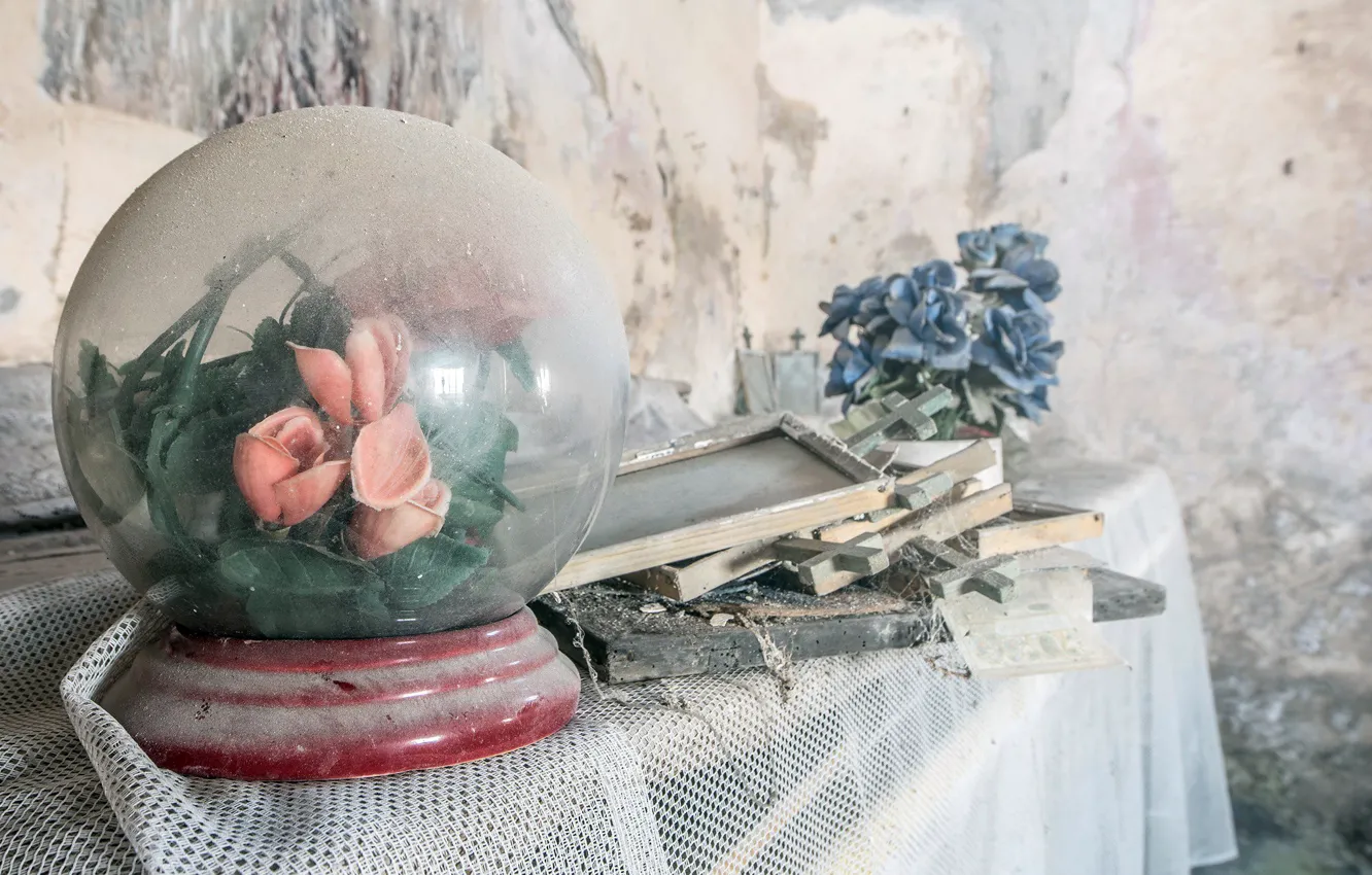 Photo wallpaper flowers, house, dust, naturalism