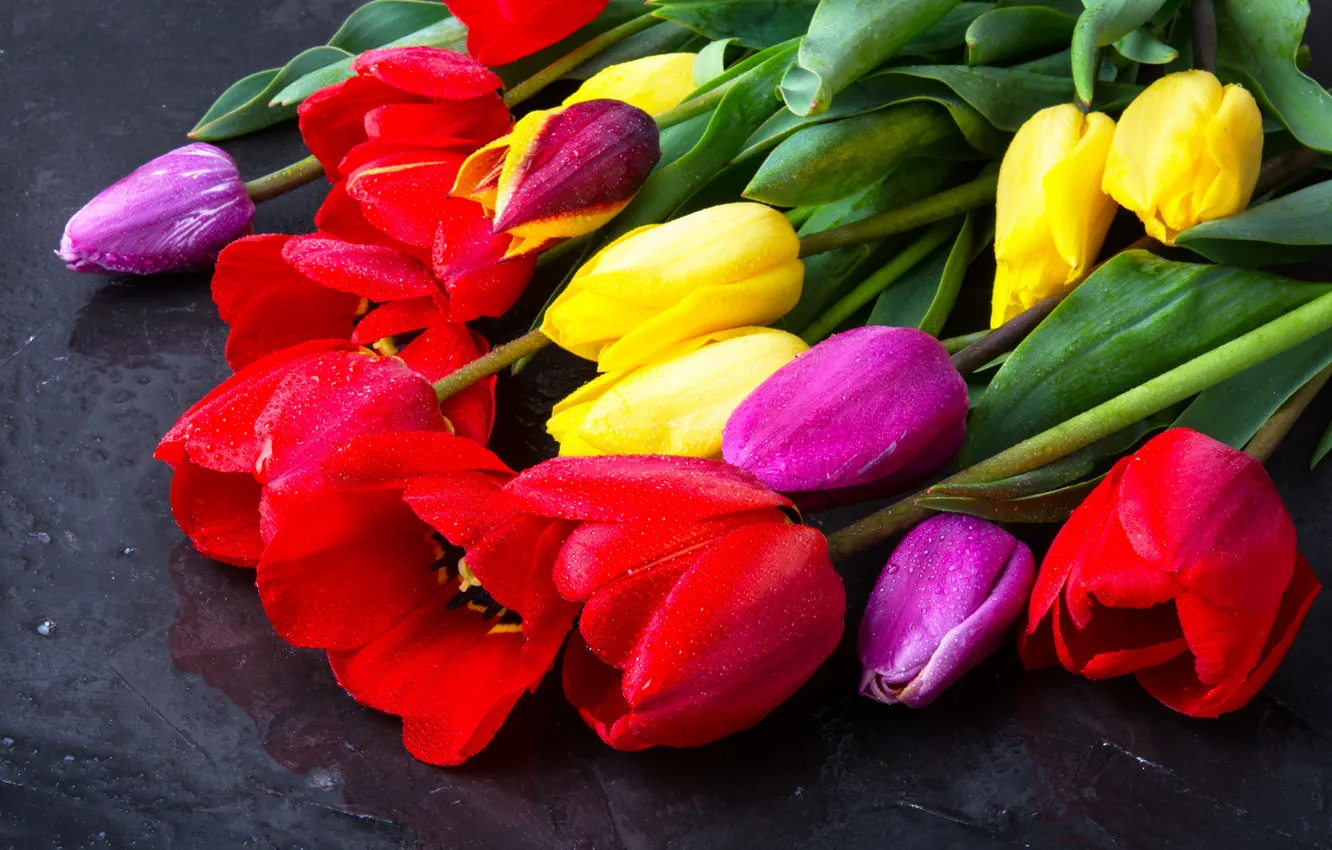 Photo wallpaper flowers, bouquet, colorful, tulips, flowers, beautiful, tulips, spring