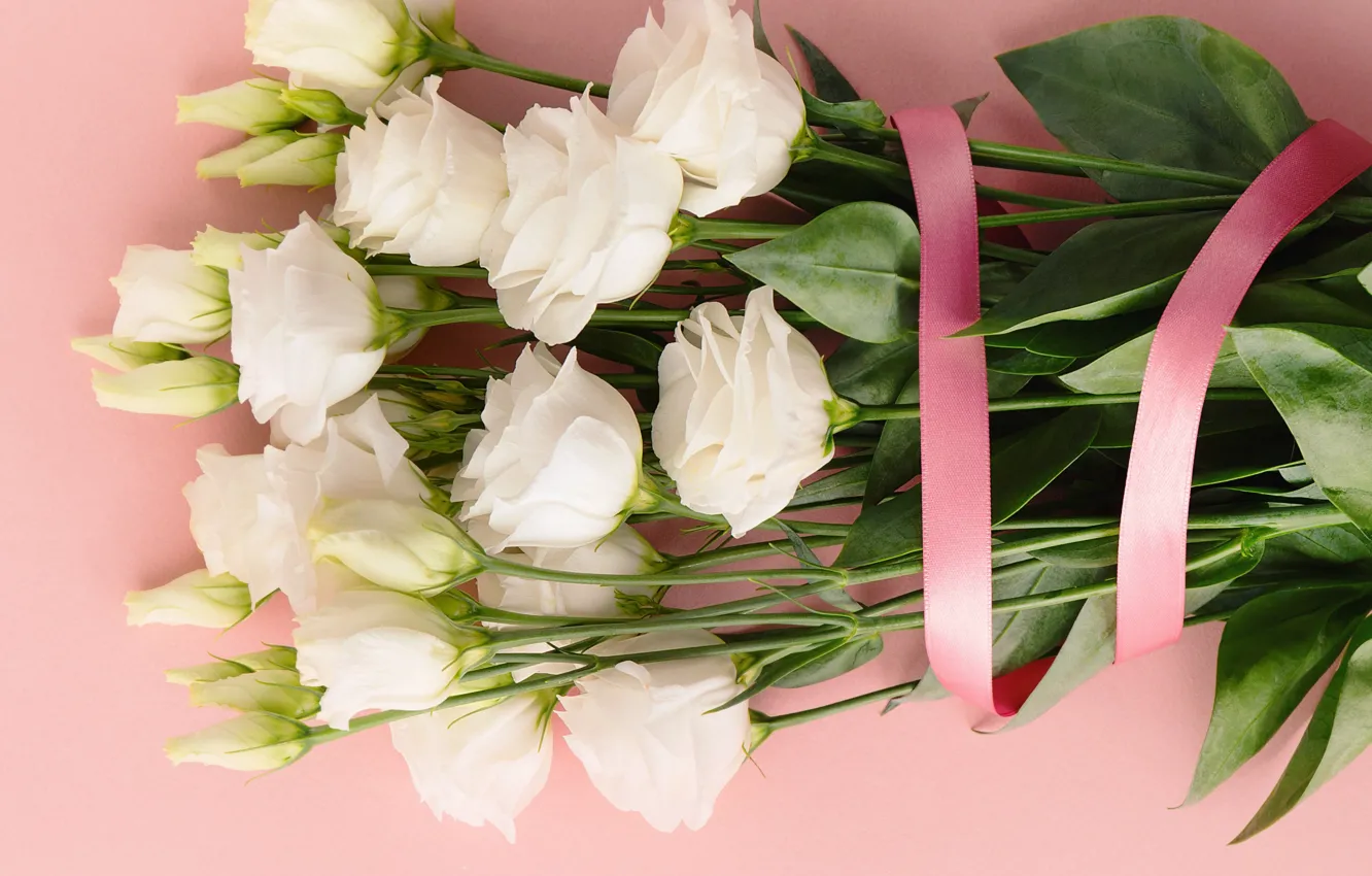 Photo wallpaper flowers, tape, eustoma