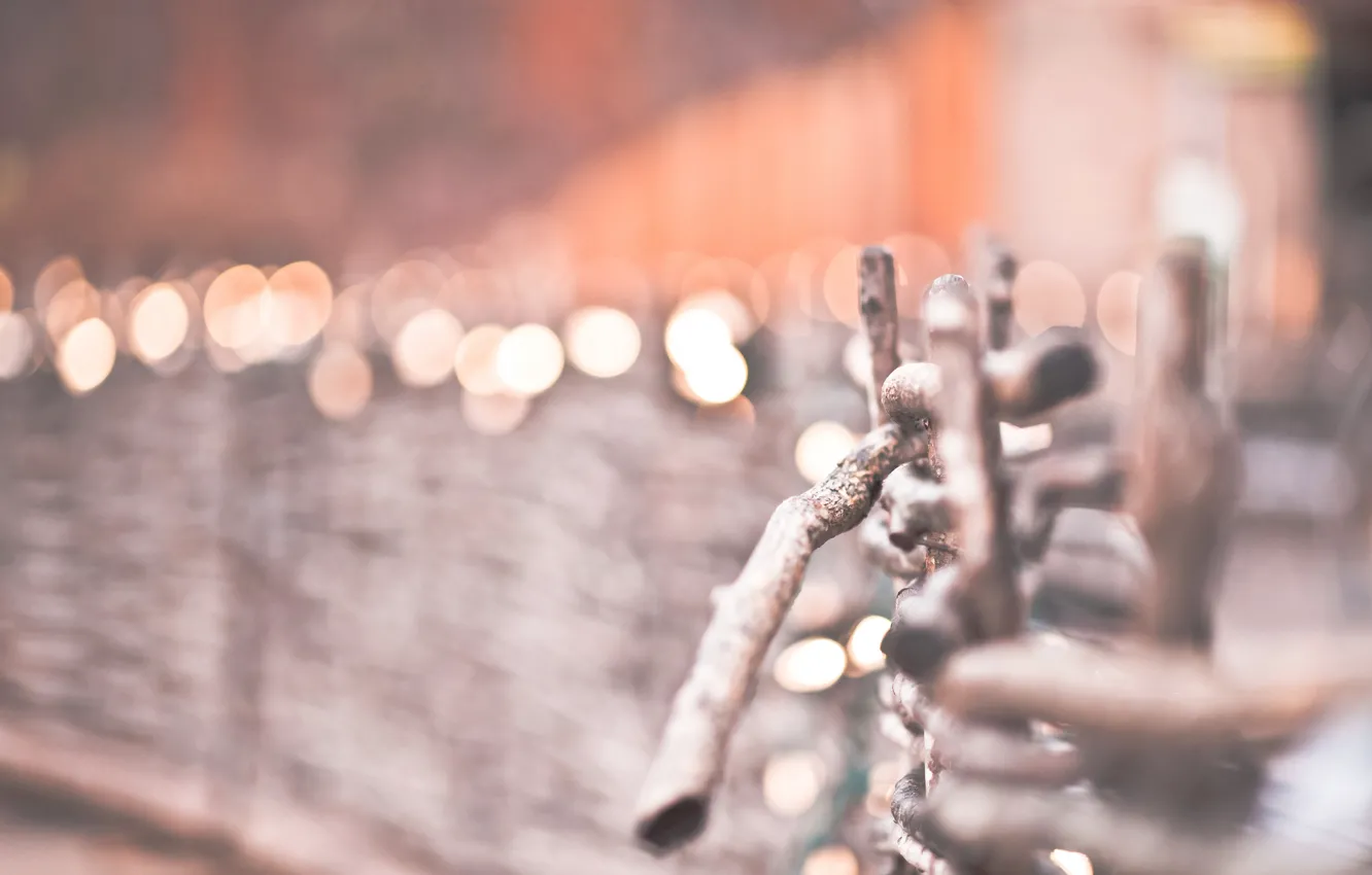 Photo wallpaper winter, macro, nature, lights, The fence, the fence, bokeh