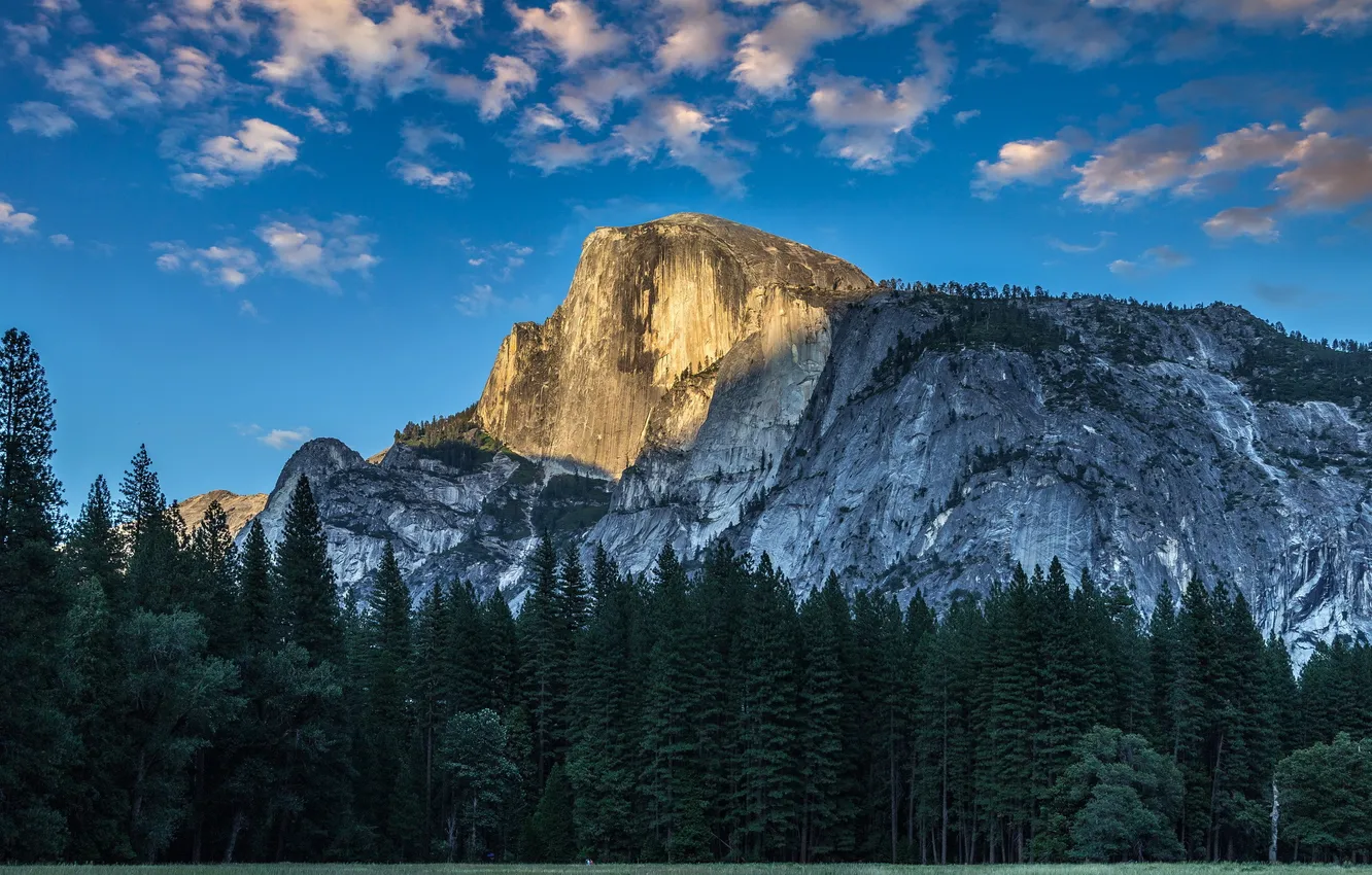 Photo wallpaper forest, the sky, mountains