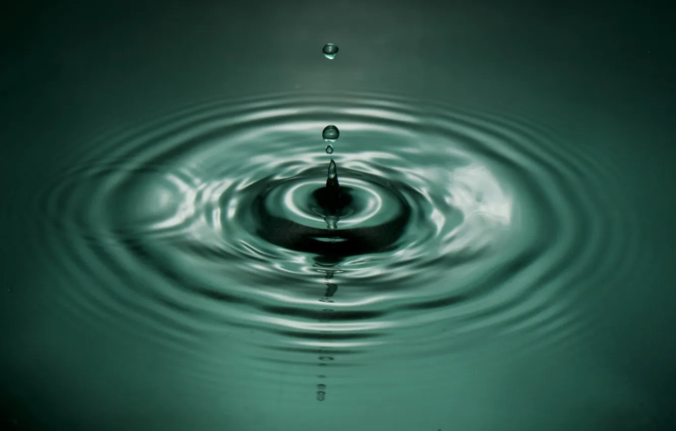 Photo wallpaper water, drops, macro