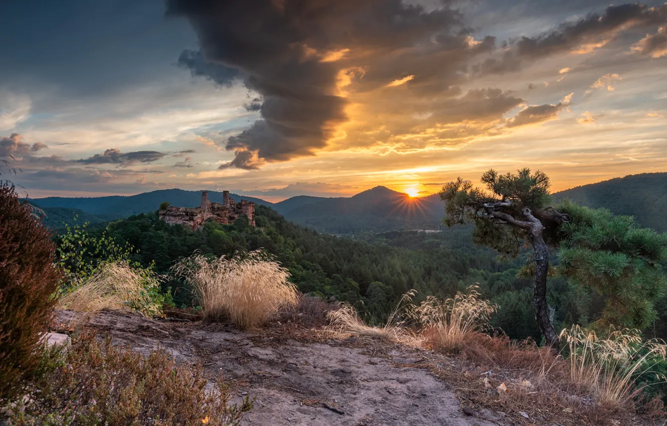 Photo wallpaper forest, the sun, clouds, sunset, mountains, castle, hills, height