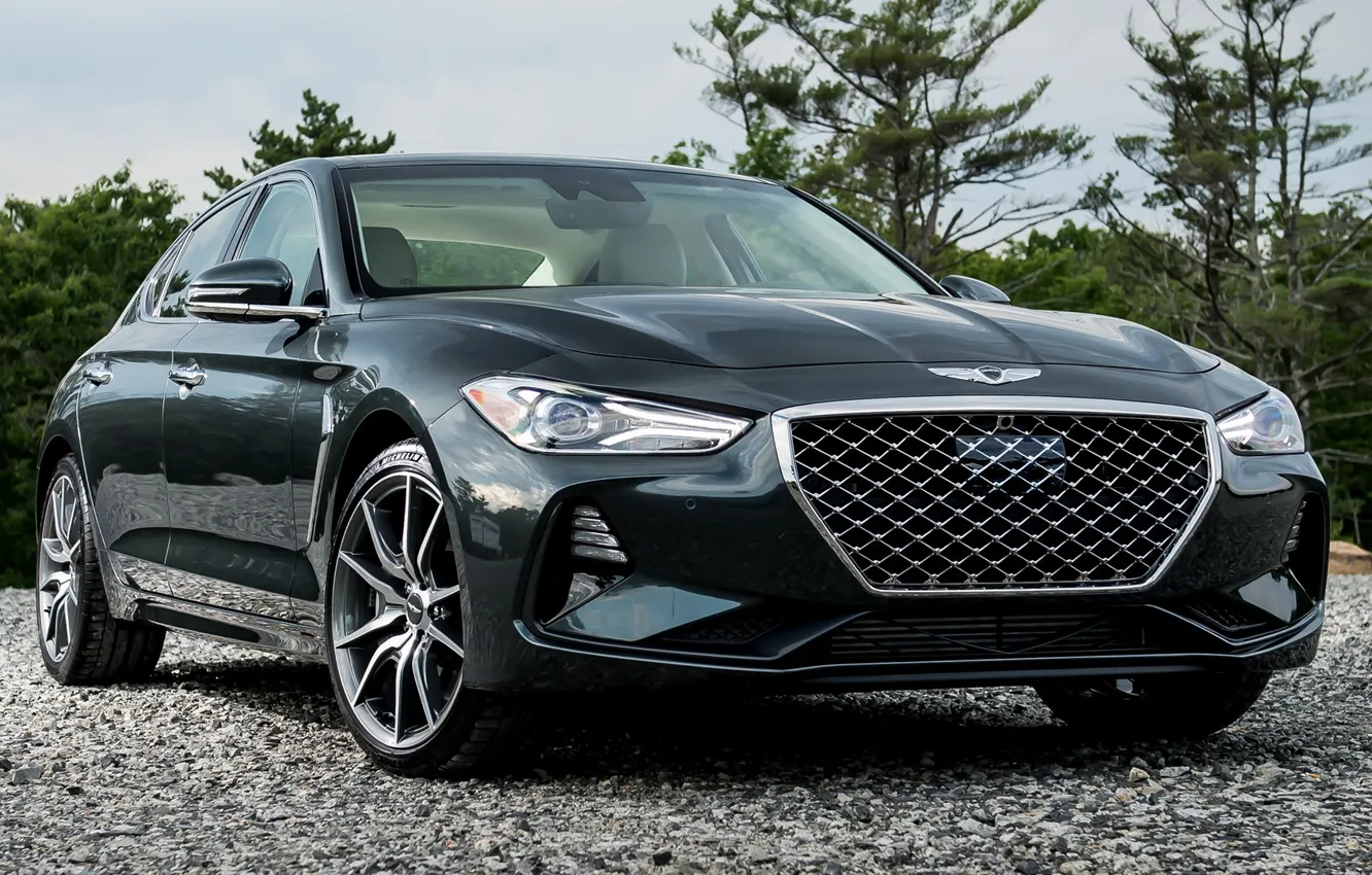 Photo wallpaper machine, stones, black, drives, black, front, Genesis, Genesis G70