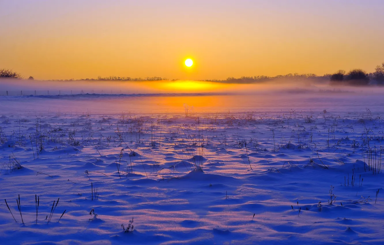 Photo wallpaper winter, field, forest, the sky, snow, sunset, fog, dawn