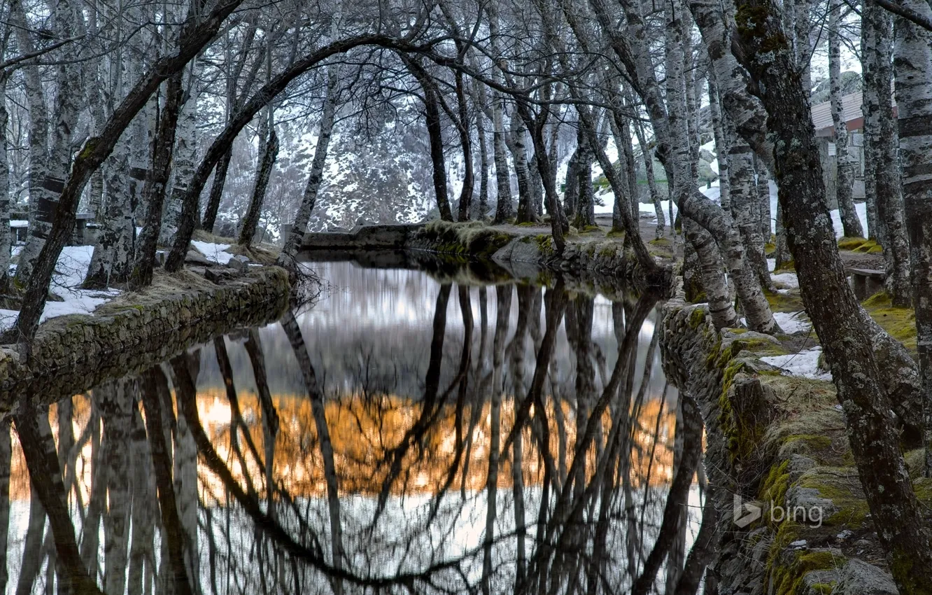Photo wallpaper snow, trees, fog, Portugal, Serra da Estrela, Covao da Ametade. the river zêzere