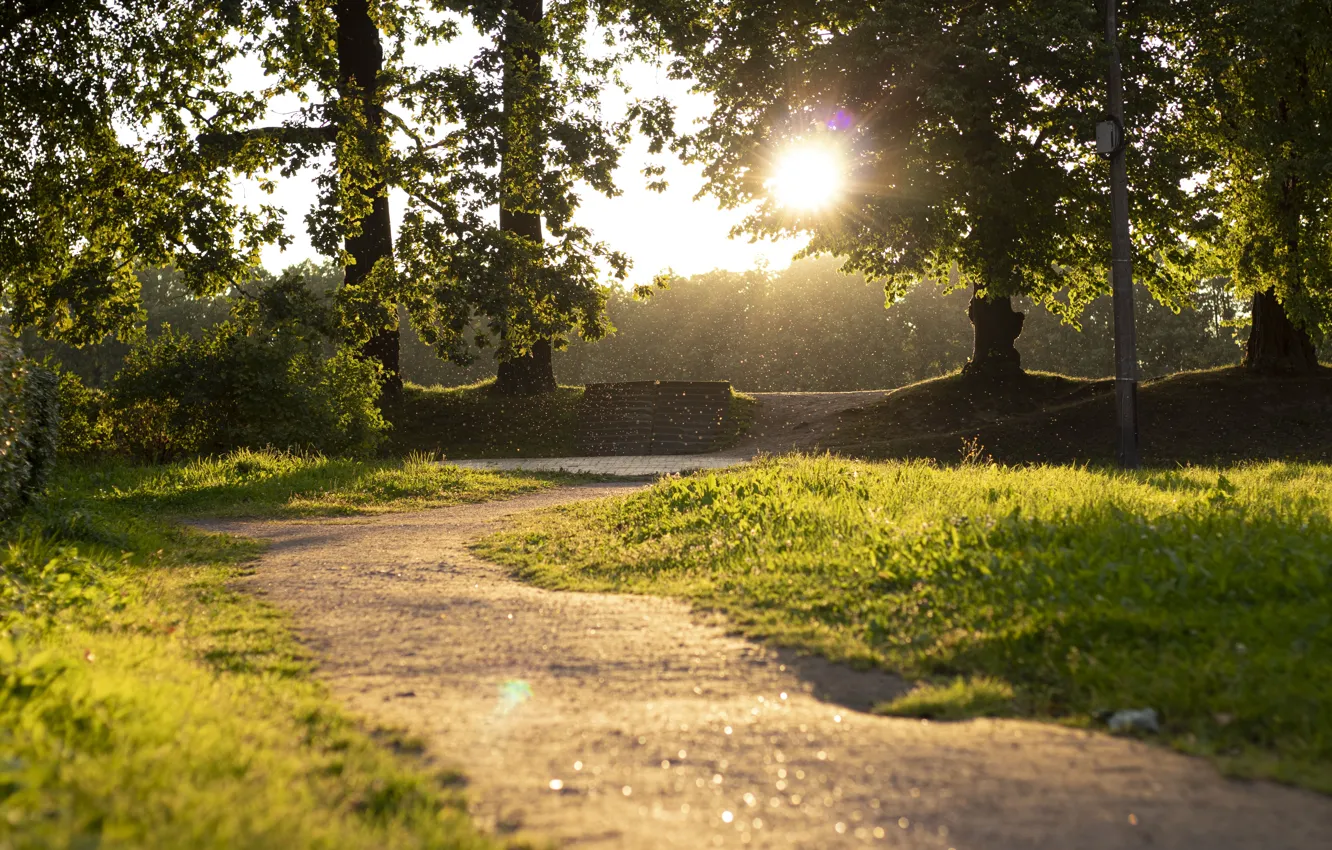 Photo wallpaper nature, Park, fabulously, Peterhof, Alexandria, fairy world, beautiful Park, Fabulous Park