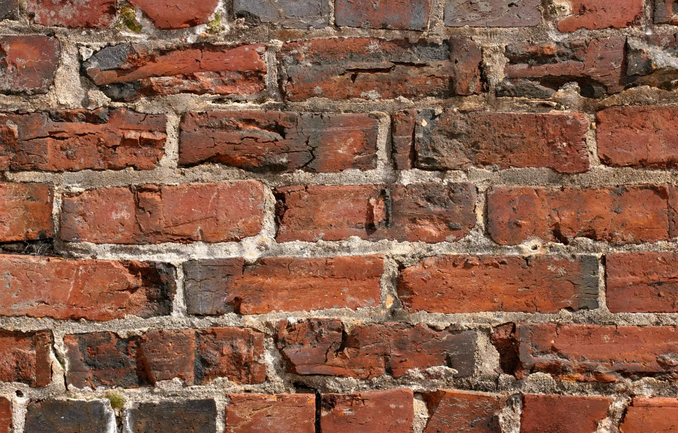 Photo wallpaper wall, color, texture