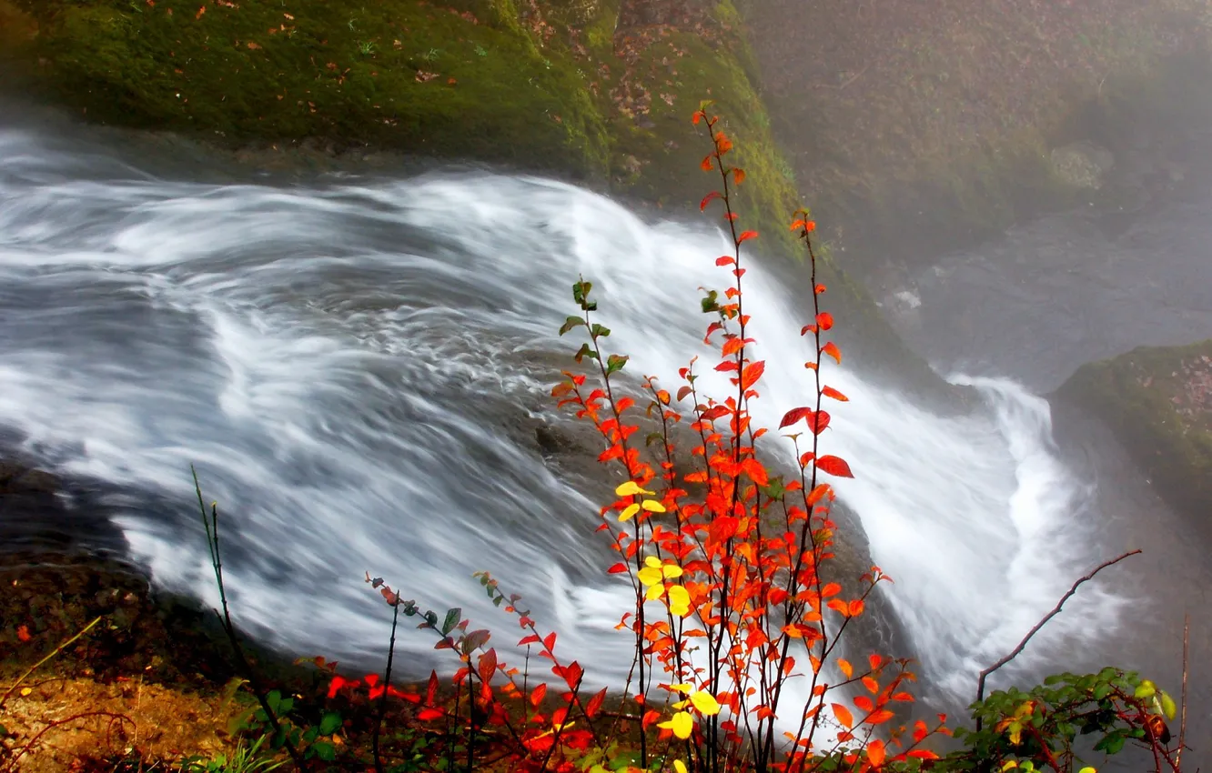 Photo wallpaper autumn, leaves, river, Waterfall