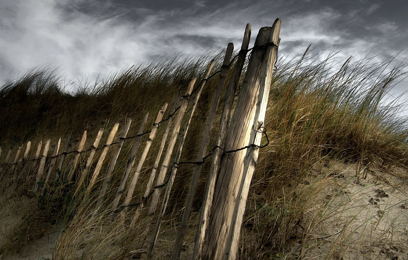Photo wallpaper shore, the fence, dunes