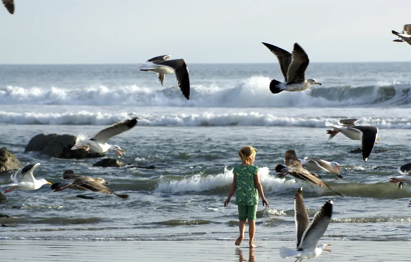 Photo wallpaper sea, bird, girl