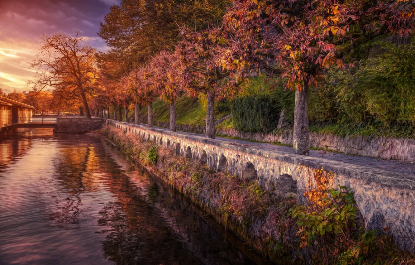 Photo wallpaper autumn, trees, lake, Switzerland, promenade