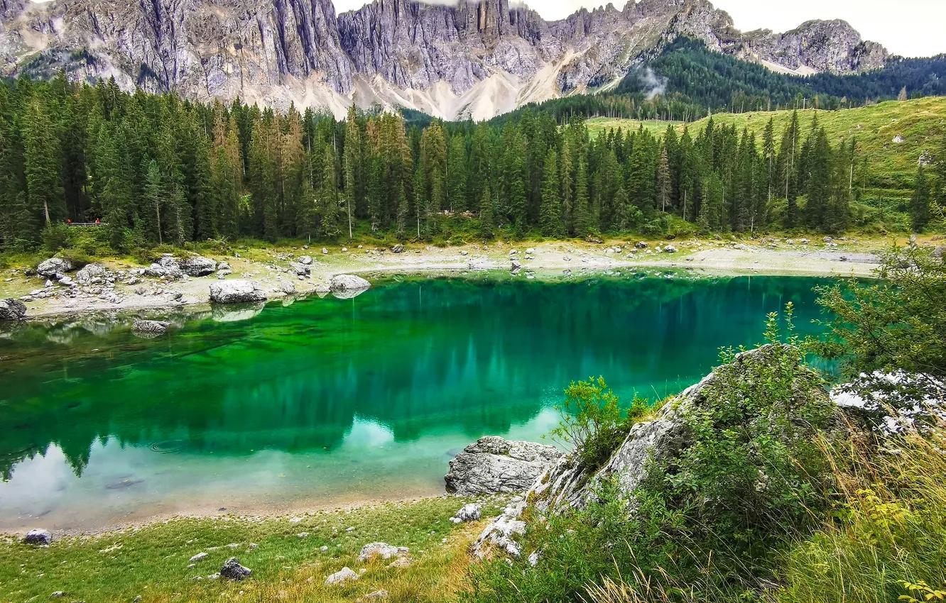 Photo wallpaper forest, mountains, lake, shore, Alps, lake Carezza