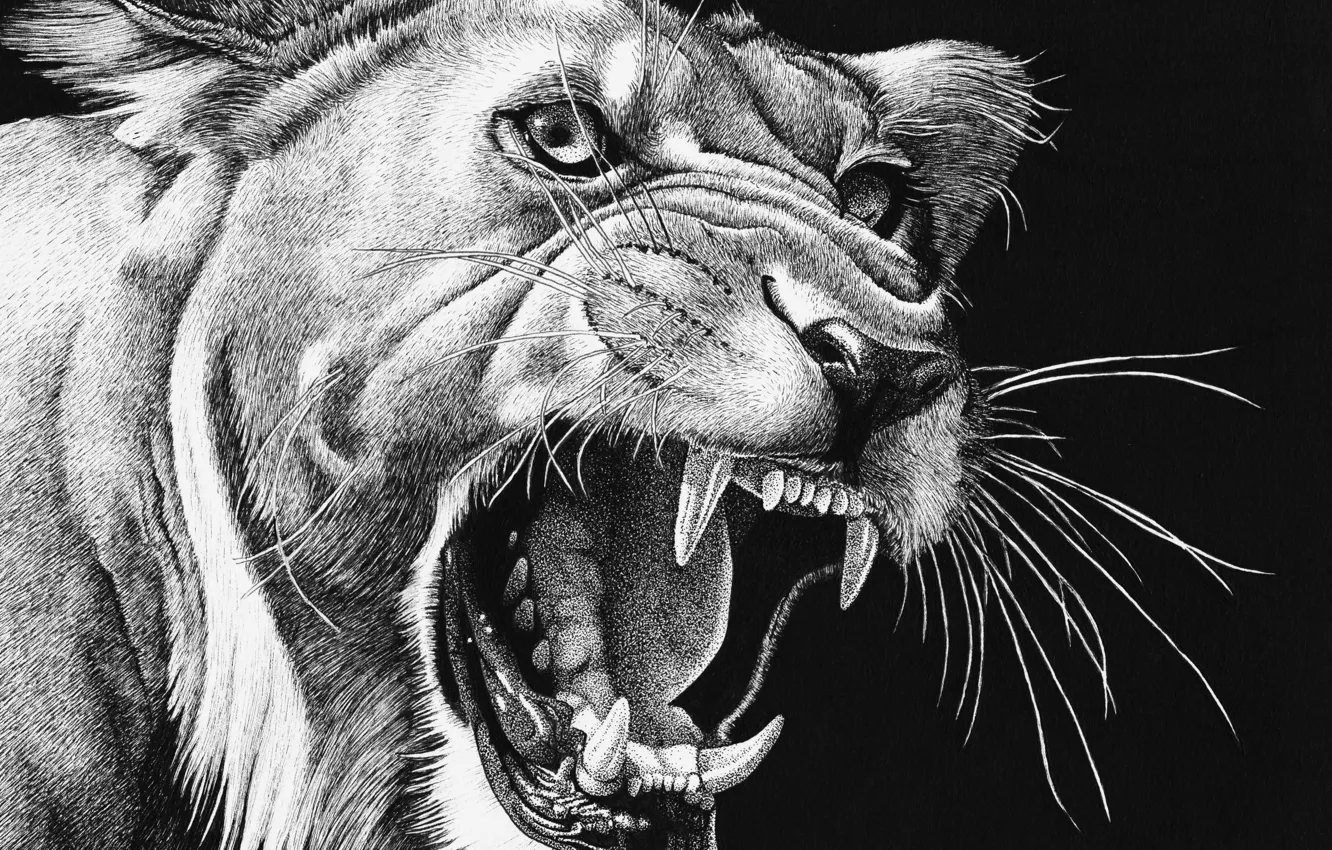 Photo wallpaper mouth, fangs, lioness, roar