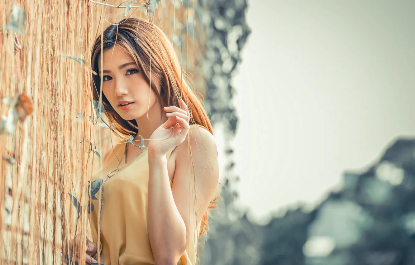 Photo wallpaper look, Asian, brown eyes, asian, cute girl