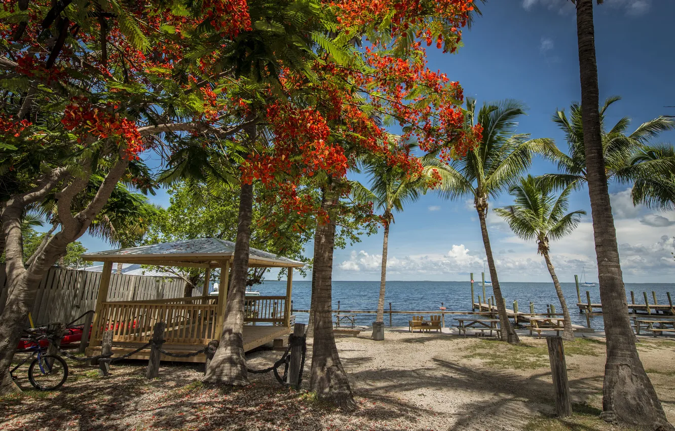 Photo wallpaper sea, trees, resort, gazebo
