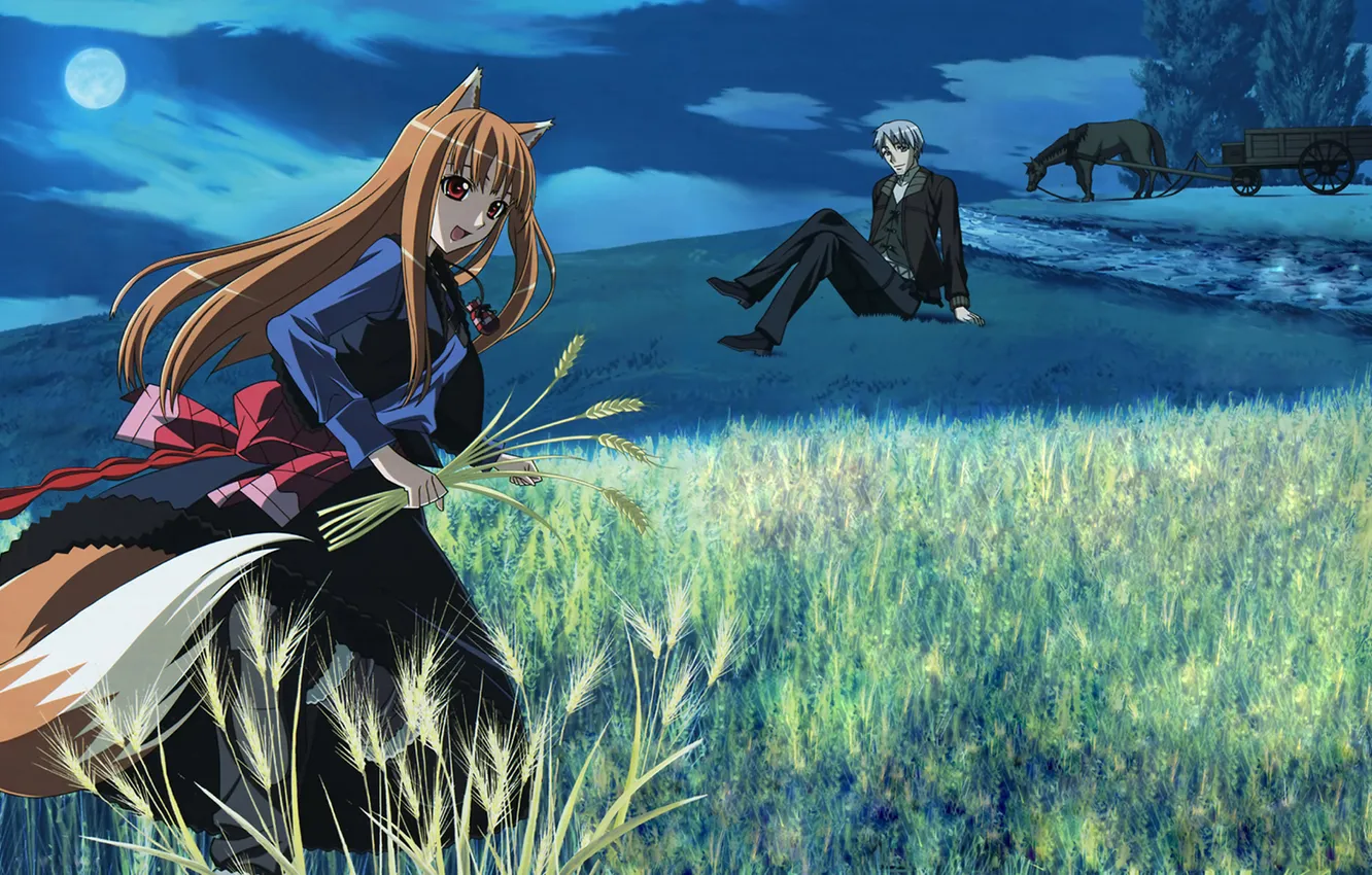Photo wallpaper wolf, Horo, Holo, Spice and Wolf, Spice and wolf