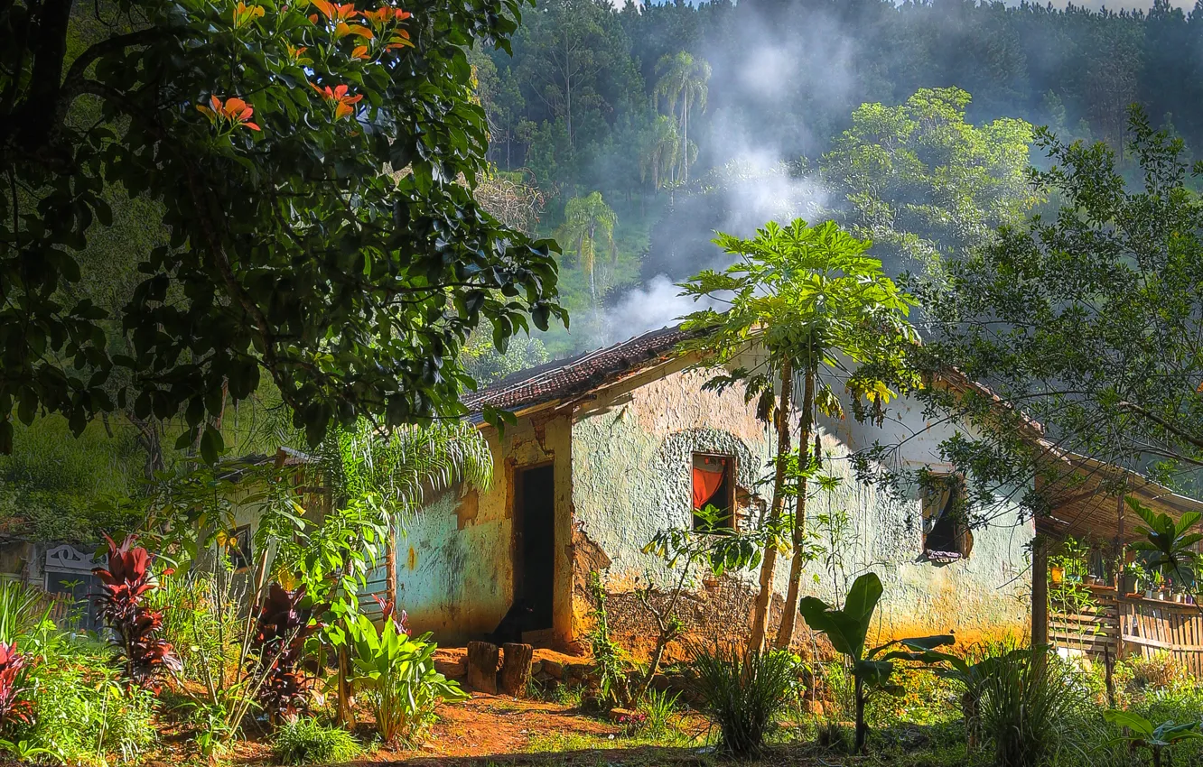 Photo wallpaper HDR, home, village, jungle, house, country