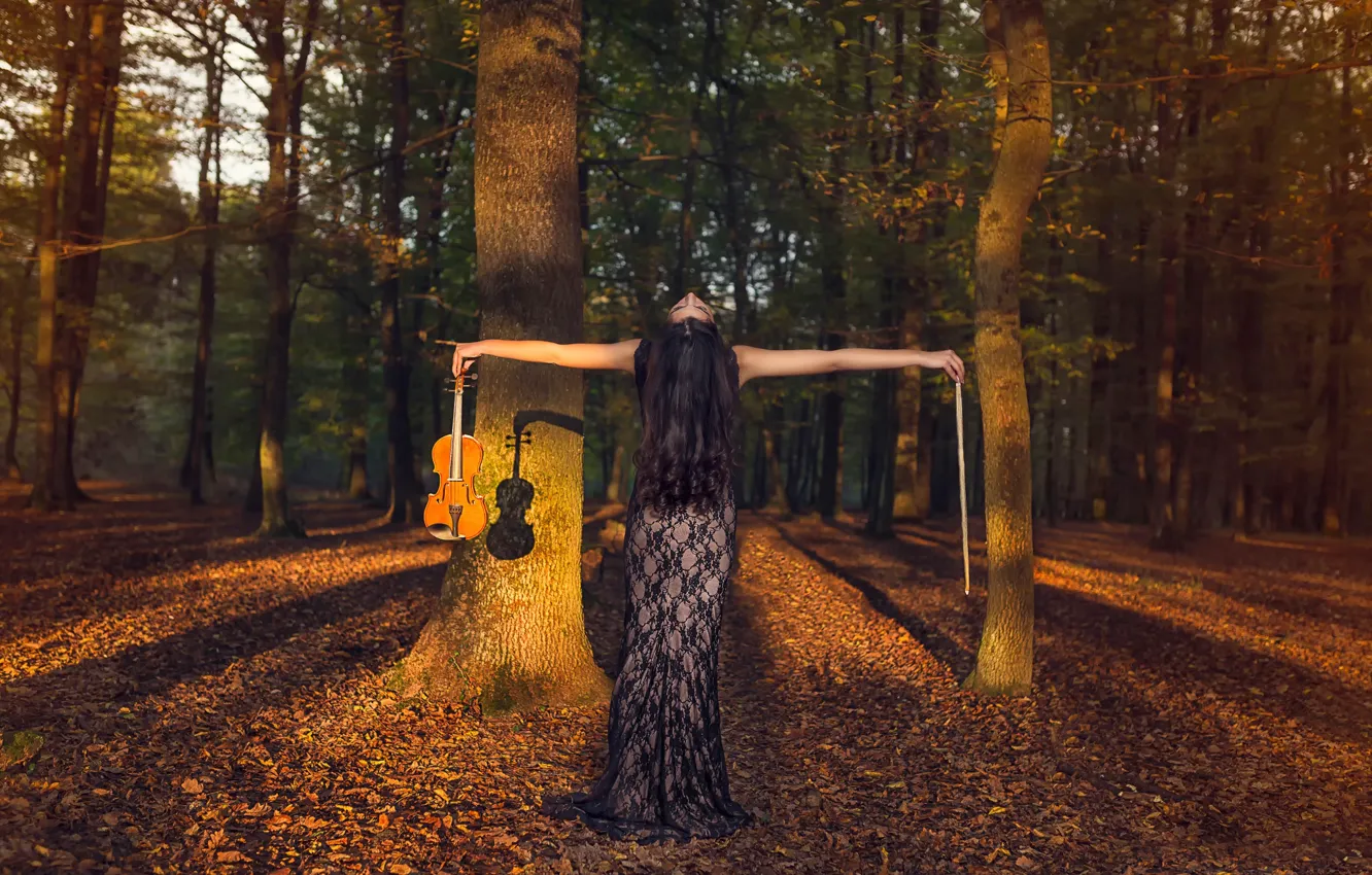 Photo wallpaper autumn, forest, violin, bow, violinist