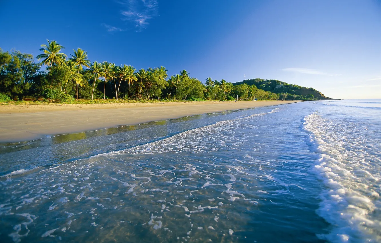 Photo wallpaper beach, palm trees, the ocean, shore
