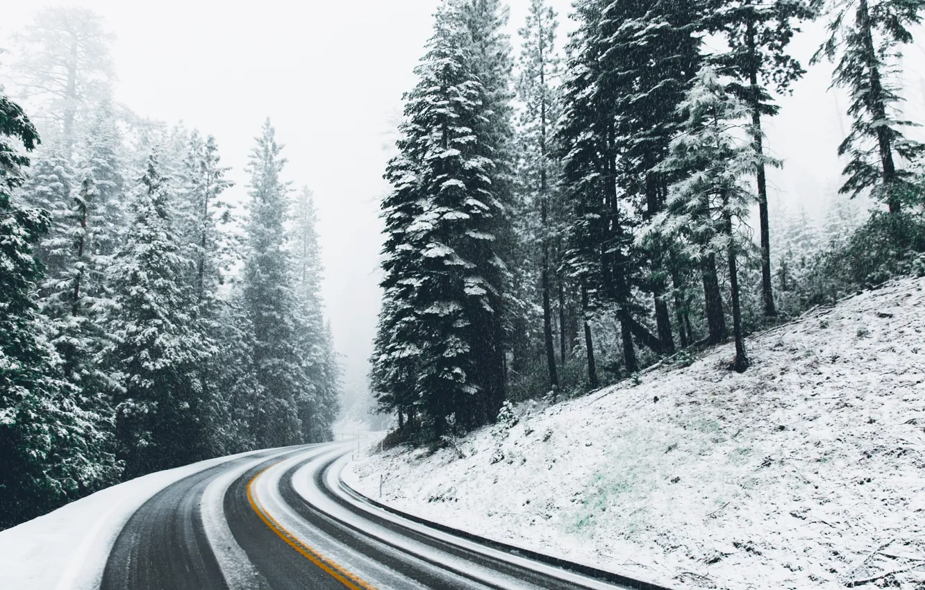 Photo wallpaper winter, road, forest, snow, nature