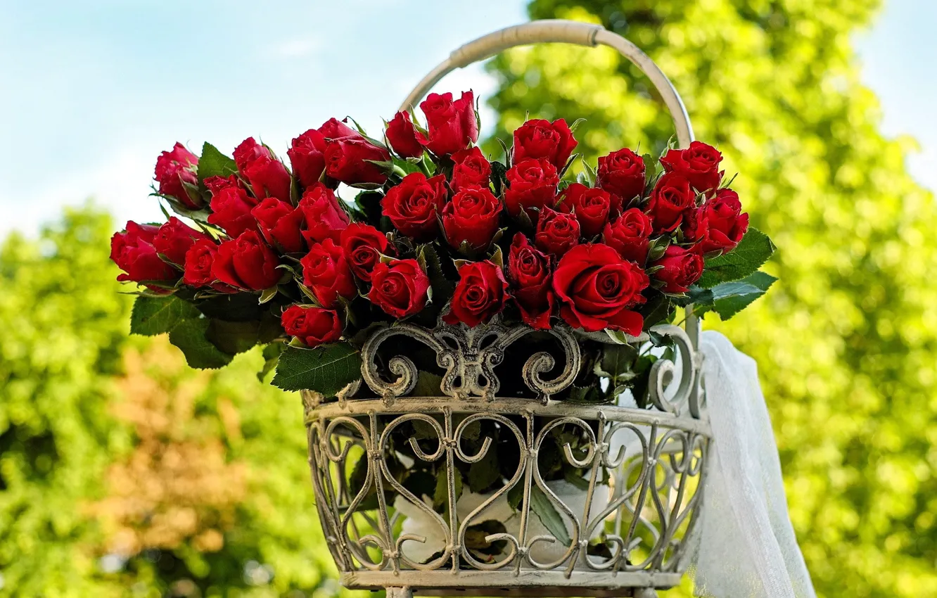 Photo wallpaper roses, bouquet, a bunch