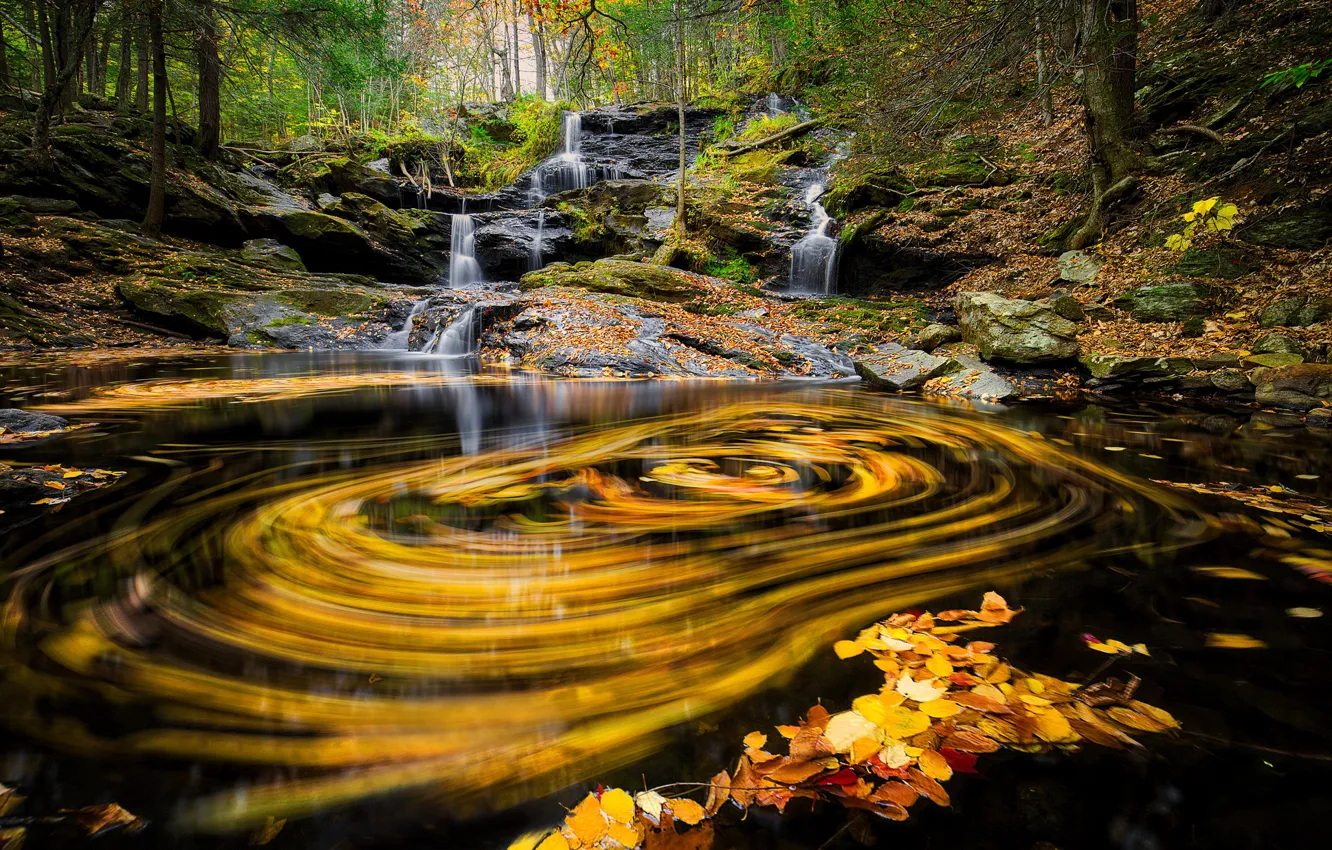 Photo wallpaper autumn, leaves, trees, yellow leaves, waterfall