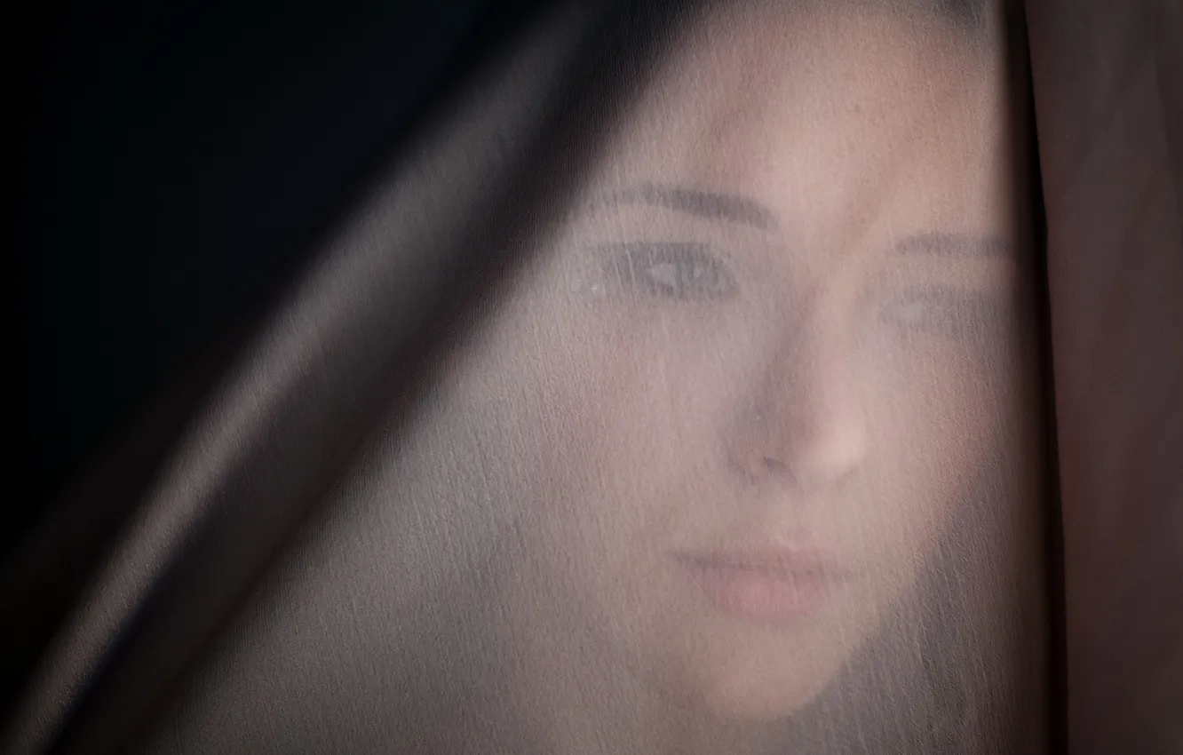 Photo wallpaper look, girl, veil