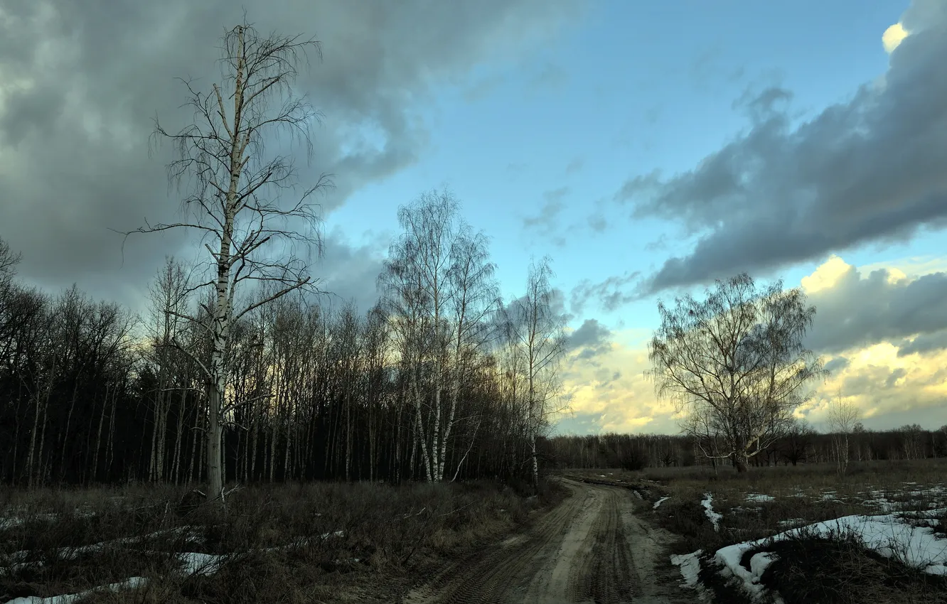 Photo wallpaper road, trees, landscape, nature, spring